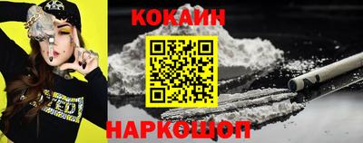 крисы Вязьма