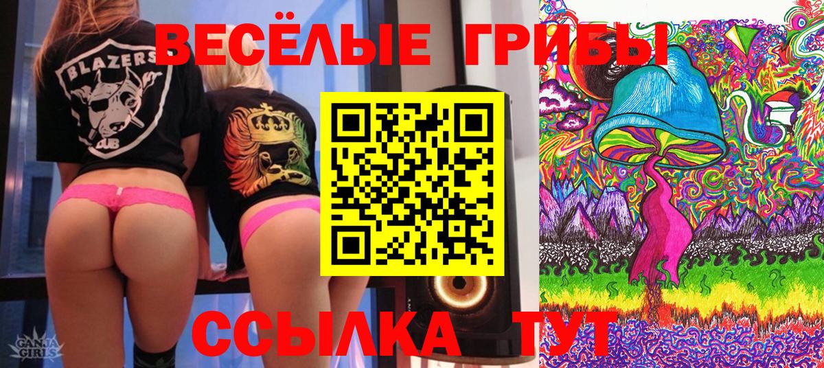 Галлюциногенные грибы Cubensis  Псилоцибиновые грибы GOLDEN TEACHER  Большой Камень  Вход с VPN 